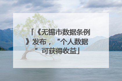 《无锡市数据条例》发布，“个人数据”可获得收益