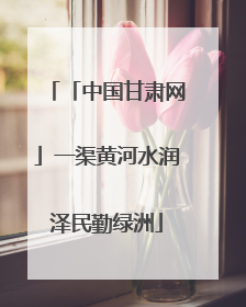 「中国甘肃网」一渠黄河水润泽民勤绿洲