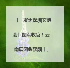 「聚焦深圳文博会」圆满收官！云南展团收获颇丰