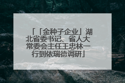 「金种子企业」湖北省委书记、省人大常委会主任王忠林一行到依瑞德调研