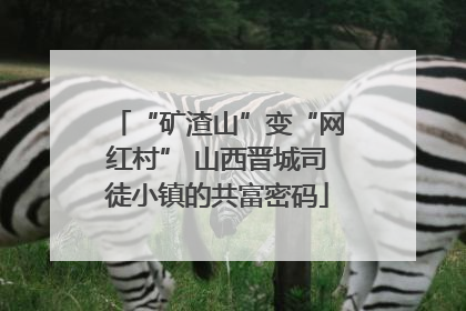 “矿渣山”变“网红村” 山西晋城司徒小镇的共富密码