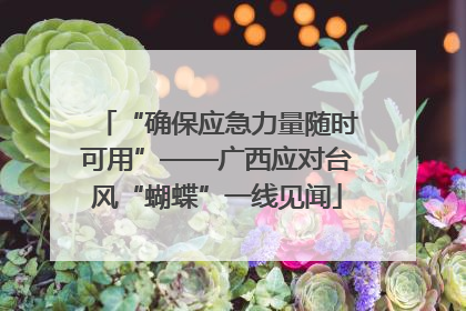 “确保应急力量随时可用”——广西应对台风“蝴蝶”一线见闻