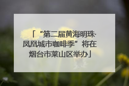 “第二届黄海明珠·凤凰城市咖啡季”将在烟台市莱山区举办