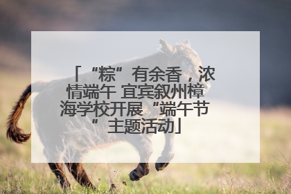 “粽”有余香，浓情端午 宜宾叙州樟海学校开展“端午节”主题活动