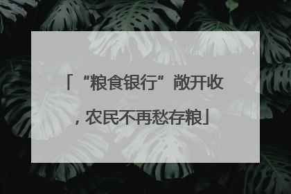 “粮食银行”敞开收，农民不再愁存粮