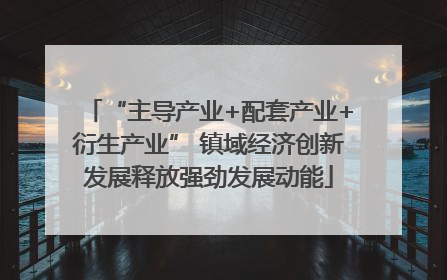 “主导产业+配套产业+衍生产业” 镇域经济创新发展释放强劲发展动能