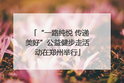 “一路纯悦 传递美好”公益健步走活动在郑州举行