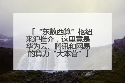 “东数西算”枢纽来沪推介，这里竟是华为云、腾讯和网易的算力“大本营”