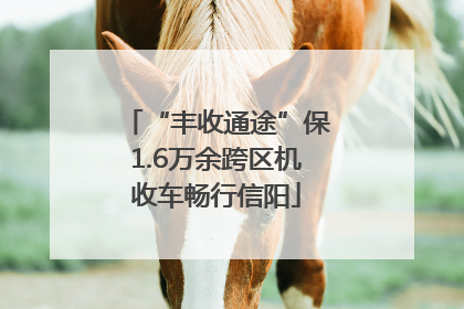 “丰收通途”保1.6万余跨区机收车畅行信阳