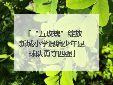 “五玫瑰”绽放 新城小学混编少年足球队勇夺四强