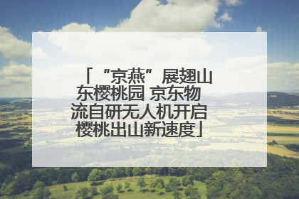 “京燕”展翅山东樱桃园 京东物流自研无人机开启樱桃出山新速度