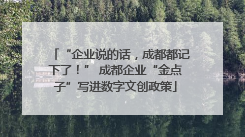 “企业说的话，成都都记下了！” 成都企业“金点子”写进数字文创政策