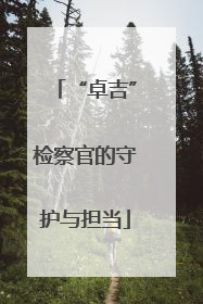 “卓吉”检察官的守护与担当