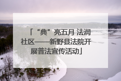 “典”亮五月 法润社区——新野县法院开展普法宣传活动