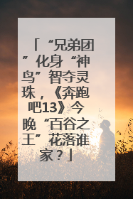 “兄弟团”化身“神鸟”智夺灵珠，《奔跑吧13》今晚“百谷之王”花落谁家？