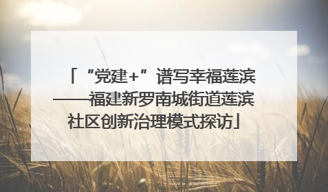 “党建+”谱写幸福莲滨——福建新罗南城街道莲滨社区创新治理模式探访