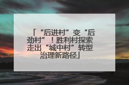 “后进村”变“后劲村”！胜利村探索走出“城中村”转型治理新路径