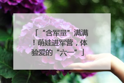 “含军量”满满！萌娃进军营，体验爱的“六一”