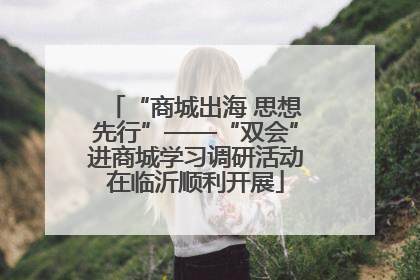 “商城出海 思想先行”——“双会”进商城学习调研活动在临沂顺利开展