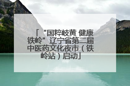 “国粹岐黄 健康铁岭”辽宁省第二届中医药文化夜市（铁岭站）启动
