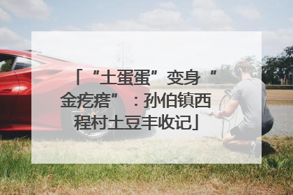 “土蛋蛋”变身“金疙瘩”：孙伯镇西程村土豆丰收记