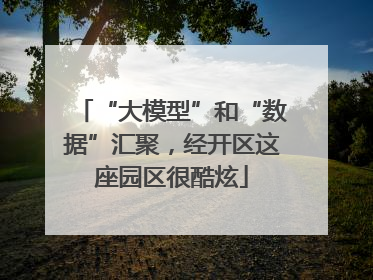 “大模型”和“数据”汇聚，经开区这座园区很酷炫