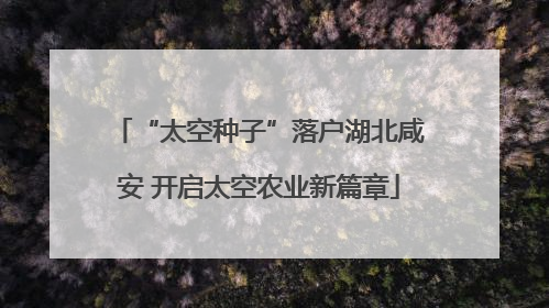 “太空种子”落户湖北咸安 开启太空农业新篇章