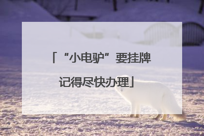 “小电驴”要挂牌 记得尽快办理