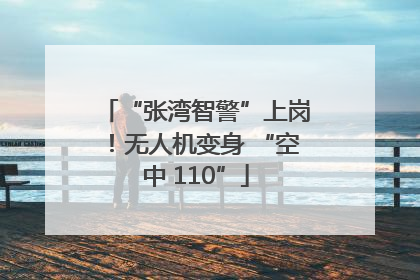 “张湾智警”上岗！无人机变身 “空中 110”