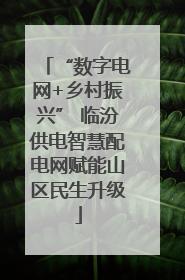“数字电网+乡村振兴” 临汾供电智慧配电网赋能山区民生升级