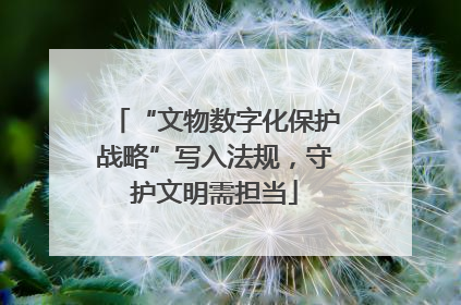 “文物数字化保护战略”写入法规，守护文明需担当