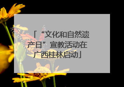 “文化和自然遗产日”宣教活动在广西桂林启动