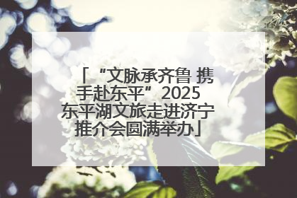 “文脉承齐鲁 携手赴东平”2025东平湖文旅走进济宁推介会圆满举办