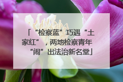 “检察蓝”巧遇“土家红”，两地检察青年“闹”出法治新名堂