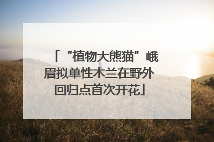 “植物大熊猫”峨眉拟单性木兰在野外回归点首次开花