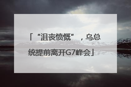 “沮丧愤慨”，乌总统提前离开G7峰会