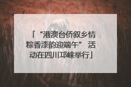 “港澳台侨叙乡情 粽香漆韵迎端午” 活动在四川邛崃举行