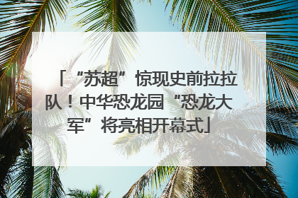 “苏超”惊现史前拉拉队！中华恐龙园“恐龙大军”将亮相开幕式