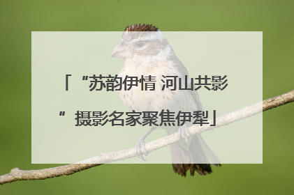 “苏韵伊情 河山共影”摄影名家聚焦伊犁