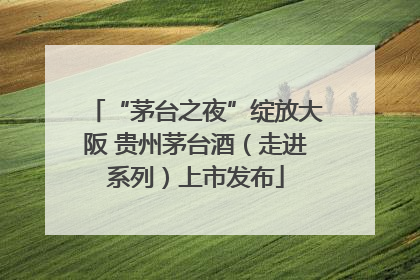 “茅台之夜”绽放大阪 贵州茅台酒（走进系列）上市发布