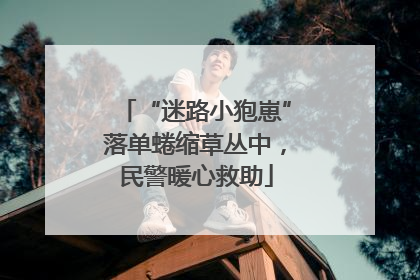 “迷路小狍崽”落单蜷缩草丛中，民警暖心救助