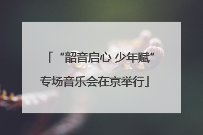 “韶音启心 少年赋”专场音乐会在京举行