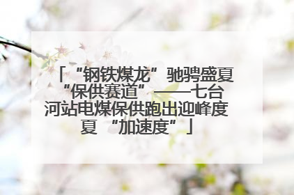 “钢铁煤龙”驰骋盛夏 “保供赛道”——七台河站电煤保供跑出迎峰度夏 “加速度”