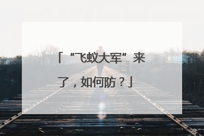 “飞蚁大军”来了，如何防？