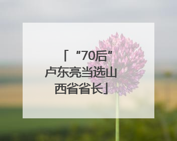 “70后”卢东亮当选山西省省长