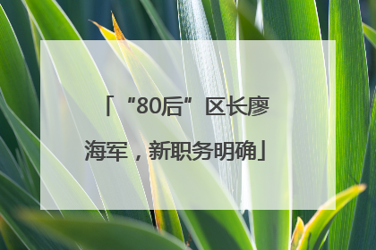 “80后”区长廖海军，新职务明确