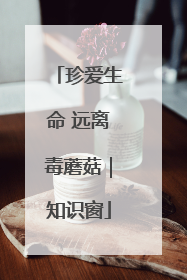 珍爱生命 远离毒蘑菇｜知识窗
