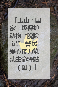 玉山：国家二级保护动物“脱险记” 警民爱心接力筑就生命驿站（图）