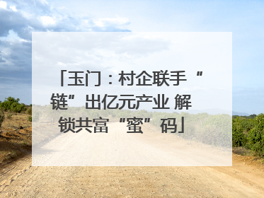 玉门：村企联手“链”出亿元产业 解锁共富“蜜”码