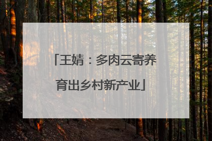 王婧：多肉云寄养 育出乡村新产业
